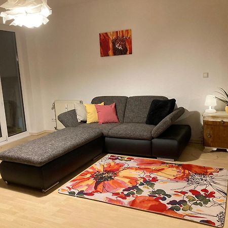3 Zi Wohnung Haustiere Willkommen Im Markgraeflerland Dreilaendereck Schliengen Luaran gambar